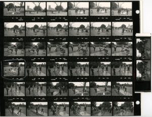 Contact Sheet 1256 Parts 1 and 2 by James Ravilious