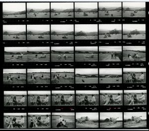 Contact Sheet 1261 by James Ravilious
