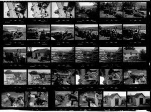 Contact Sheet 1262 by James Ravilious