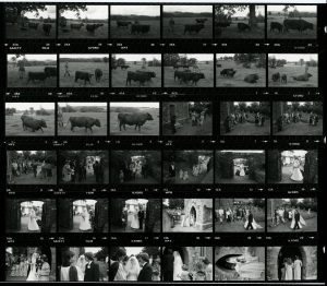 Contact Sheet 1264 by James Ravilious