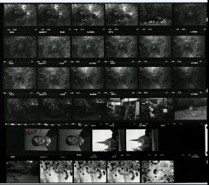 Contact Sheet 1273 by James Ravilious
