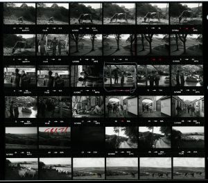 Contact Sheet 1277 by James Ravilious