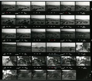 Contact Sheet 1279 by James Ravilious