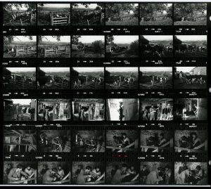 Contact Sheet 1285 by James Ravilious