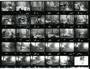 Contact Sheet 1294 by James Ravilious
