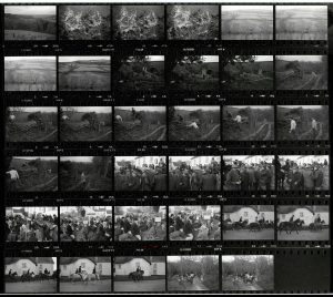 Contact Sheet 1309 by James Ravilious