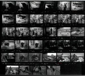 Contact Sheet 1312 by James Ravilious