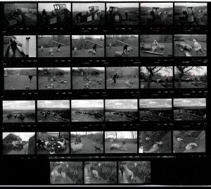 Contact Sheet 1313 by James Ravilious