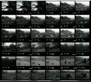 Contact Sheet 1322 Part 2 by James Ravilious