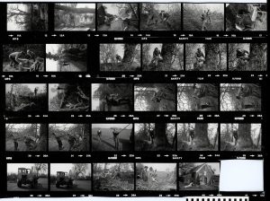Contact Sheet 1325 by James Ravilious