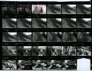 Contact Sheet 1335 by James Ravilious