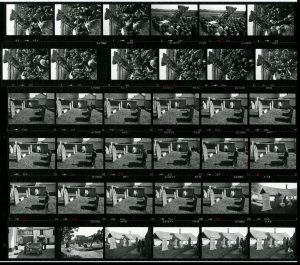 Contact Sheet 1342 by James Ravilious