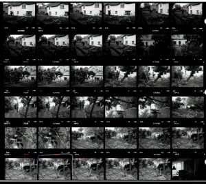 Contact Sheet 1357 by James Ravilious