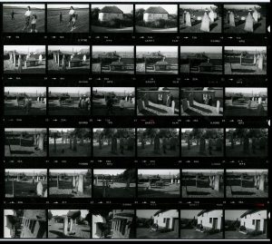 Contact Sheet 1363 Part 2 by James Ravilious