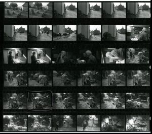 Contact Sheet 1374 by James Ravilious