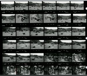 Contact Sheet 1383 by James Ravilious