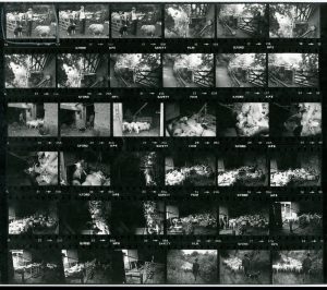 Contact Sheet 1385 by James Ravilious