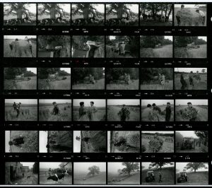 Contact Sheet 1407 by James Ravilious