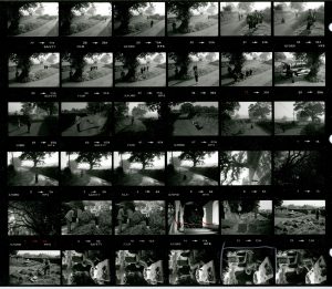 Contact Sheet 1429 by James Ravilious
