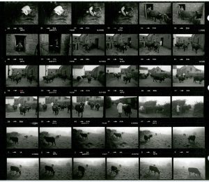 Contact Sheet 1431 by James Ravilious
