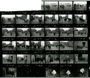 Contact Sheet 1432 by James Ravilious