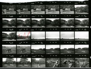 Contact Sheet 1435 by James Ravilious