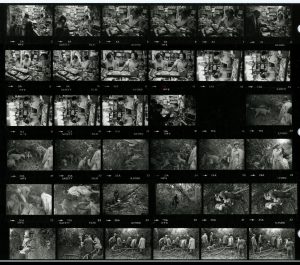 Contact Sheet 1442 by James Ravilious
