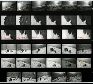 Contact Sheet 1457 by James Ravilious