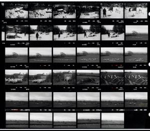 Contact Sheet 1462 by James Ravilious