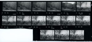 Contact Sheet 1466 by James Ravilious