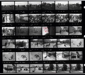 Contact Sheet 1469 by James Ravilious