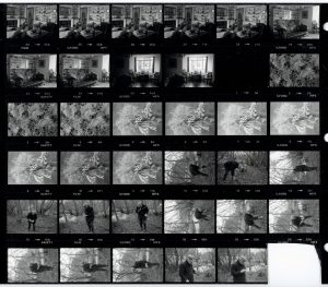 Contact Sheet 1478 by James Ravilious
