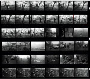 Contact Sheet 1480 by James Ravilious