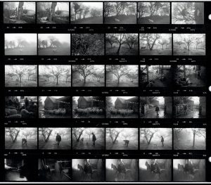 Contact Sheet 1481 by James Ravilious