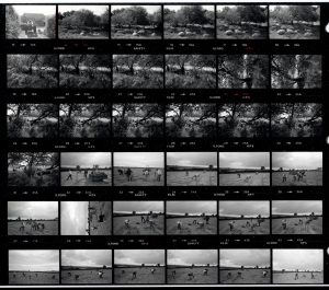 Contact Sheet 1518 by James Ravilious