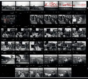Contact Sheet 1523 by James Ravilious