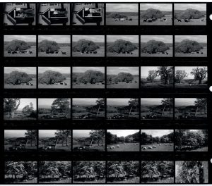 Contact Sheet 1528 by James Ravilious