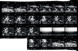 Contact Sheet 1531 by James Ravilious