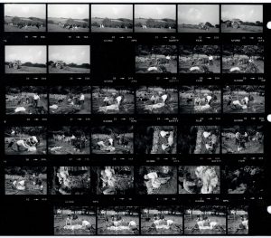 Contact Sheet 1532 by James Ravilious
