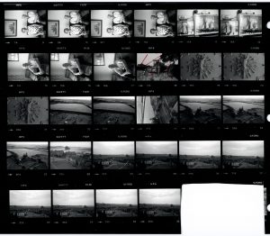 Contact Sheet 1534 by James Ravilious