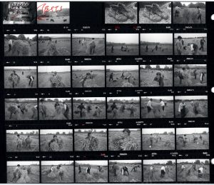 Contact Sheet 1543 by James Ravilious