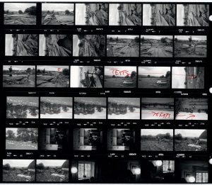Contact Sheet 1562 by James Ravilious