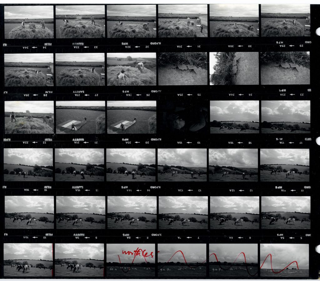 Contact Sheet 1563 by James Ravilious