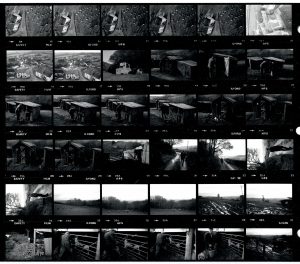 Contact Sheet 1588 by James Ravilious