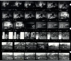Contact Sheet 1607 by James Ravilious