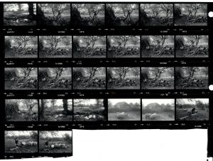 Contact Sheet 1609 by James Ravilious