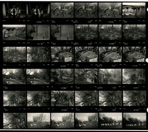 Contact Sheet 1614 by James Ravilious