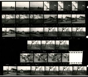 Contact Sheet 1615 by James Ravilious