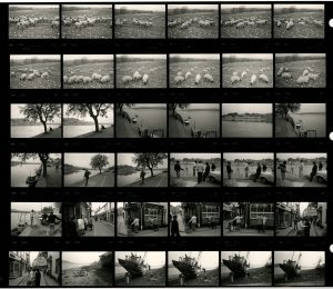 Contact Sheet 1624 by James Ravilious