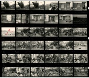 Contact Sheet 1627 by James Ravilious